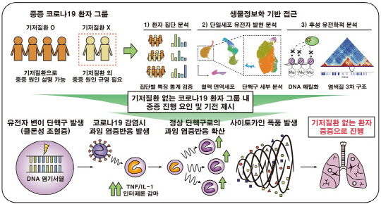 KAIST는 당뇨병이나 고혈압 등 기저 질환이 없는 코로나19 환자의 중증 진행에 영향을 주는 '클론성조혈증'이라는 후천적 유전자 변이를 찾아냈다.  KAIST 제공